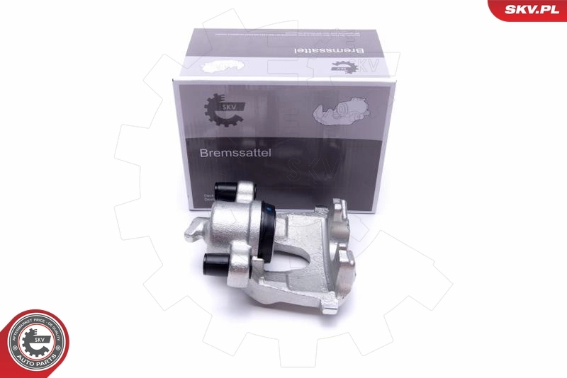 Brake Caliper